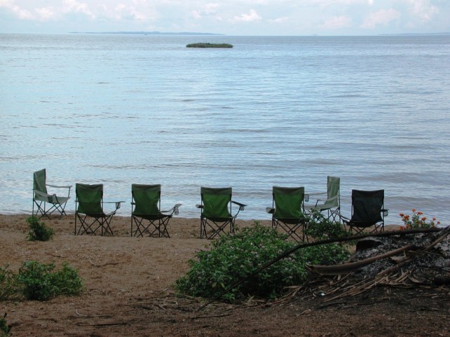 Ready for the afternoon drink