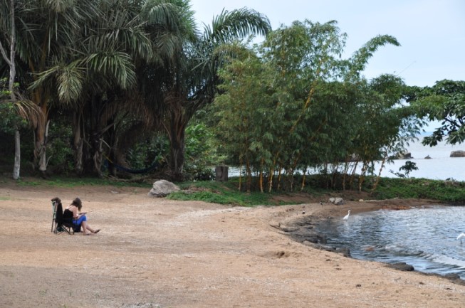 Your own beach - with a view!