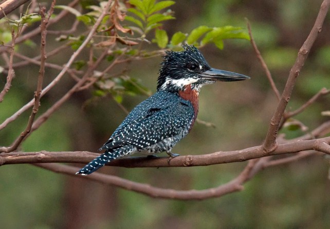 5964142258_474a8f61f2_b